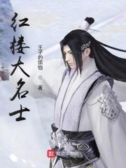 红楼大名士加料版