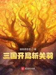 三国开局斩杀亲叔孙权