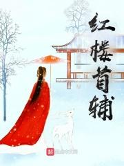 红楼首辅贤妻珠帘后