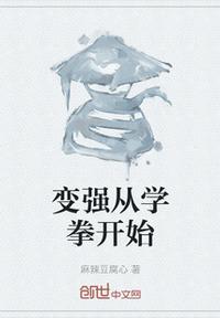 从拳术大成