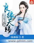 良缘天赐遇娇妻