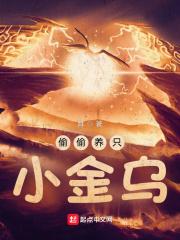 偷偷养只小金乌有几个宠物