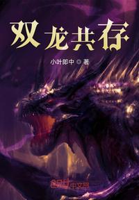 双龙合璧是什么意思