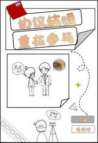 协议结婚重在参与cv表