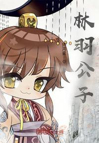 男主名叫林羽的