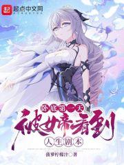 女卧底之死