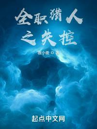 全职猎人之同人