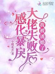 我被诱婚了结局