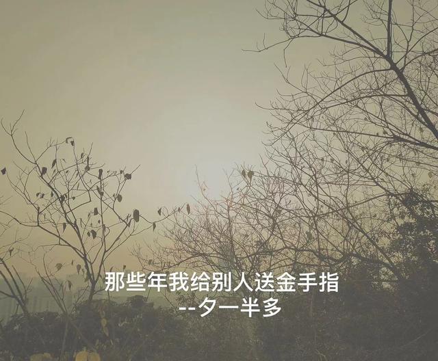 给男主当金手指的那些年