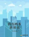 我有两本书英语翻译