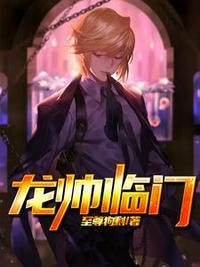 龙帅叶不凡txt