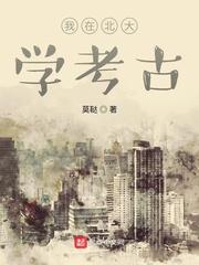 我在北大教考古 莫鞑