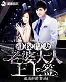 神探悍妻之老婆大人之上上签