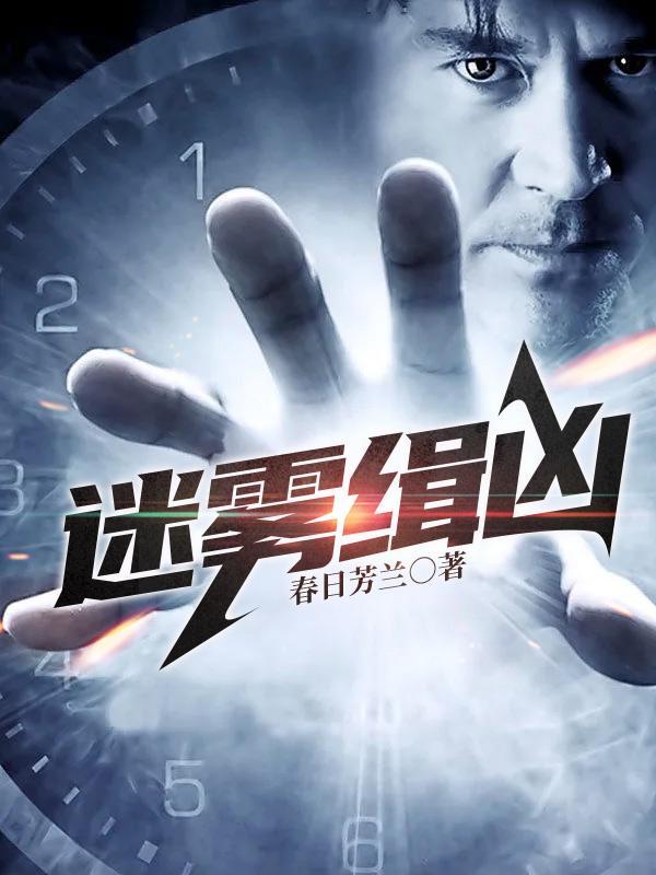 迷雾缉凶电视剧