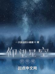 仰望星空词曲