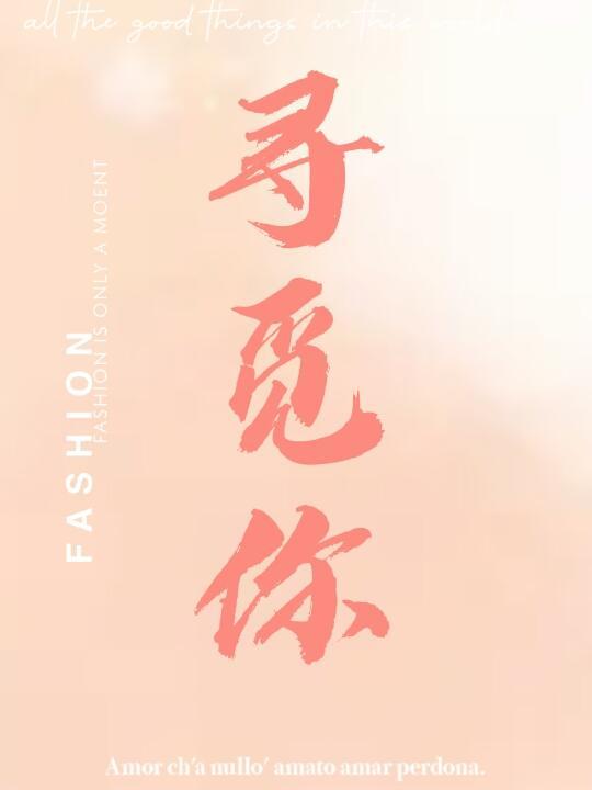 寻觅你的波浪TXT百度