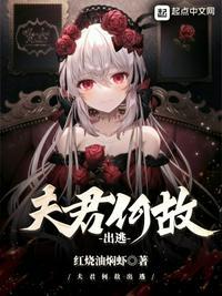 夫君何故出逃TXT百度