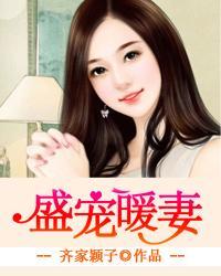 盛宠暖妻腹黑总裁轻点爱