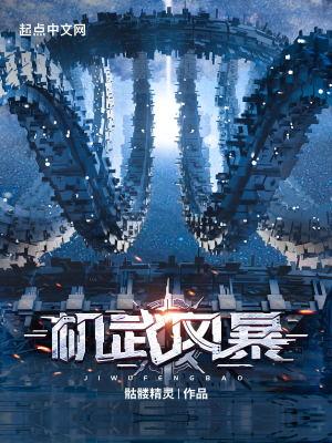 机武风暴多少字