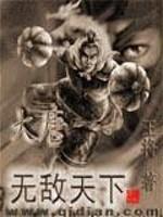 大唐之无敌赘婿