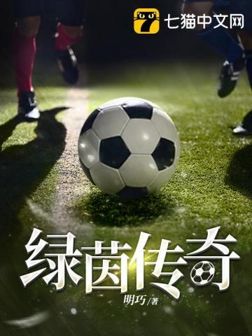 绿茵传奇官方正版
