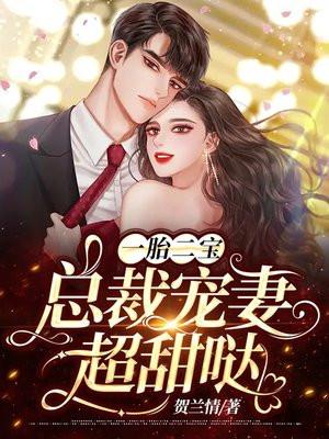一胎二宝总裁宠上天免费阅读全文