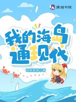我的小海岛安装