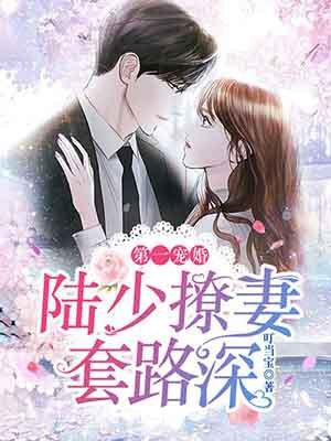 宠妻无度陆少的第一甜妻