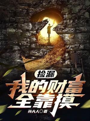 捡漏我的财富全靠摸80电子书