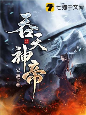 吞天神帝叶辰免费阅读小三叔