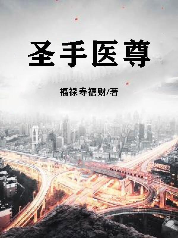 圣手医仙简介