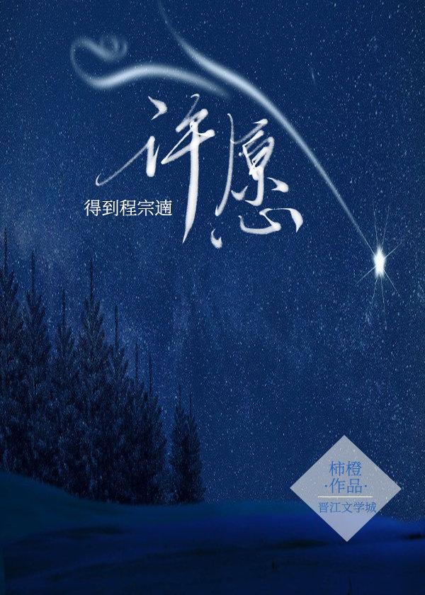 许愿仔猫粮
