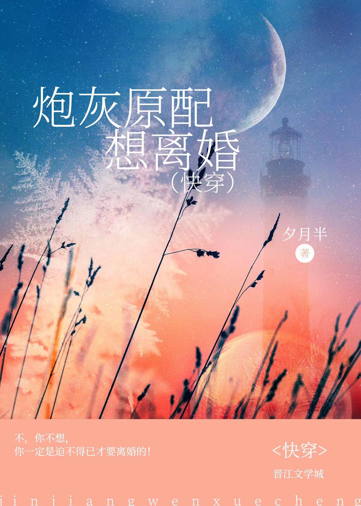 炮灰原配的人生(快穿)果冻网