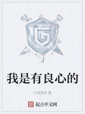 良心是什么我没有