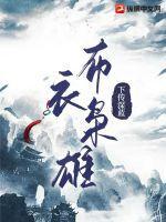 布衣枭雄 短剧