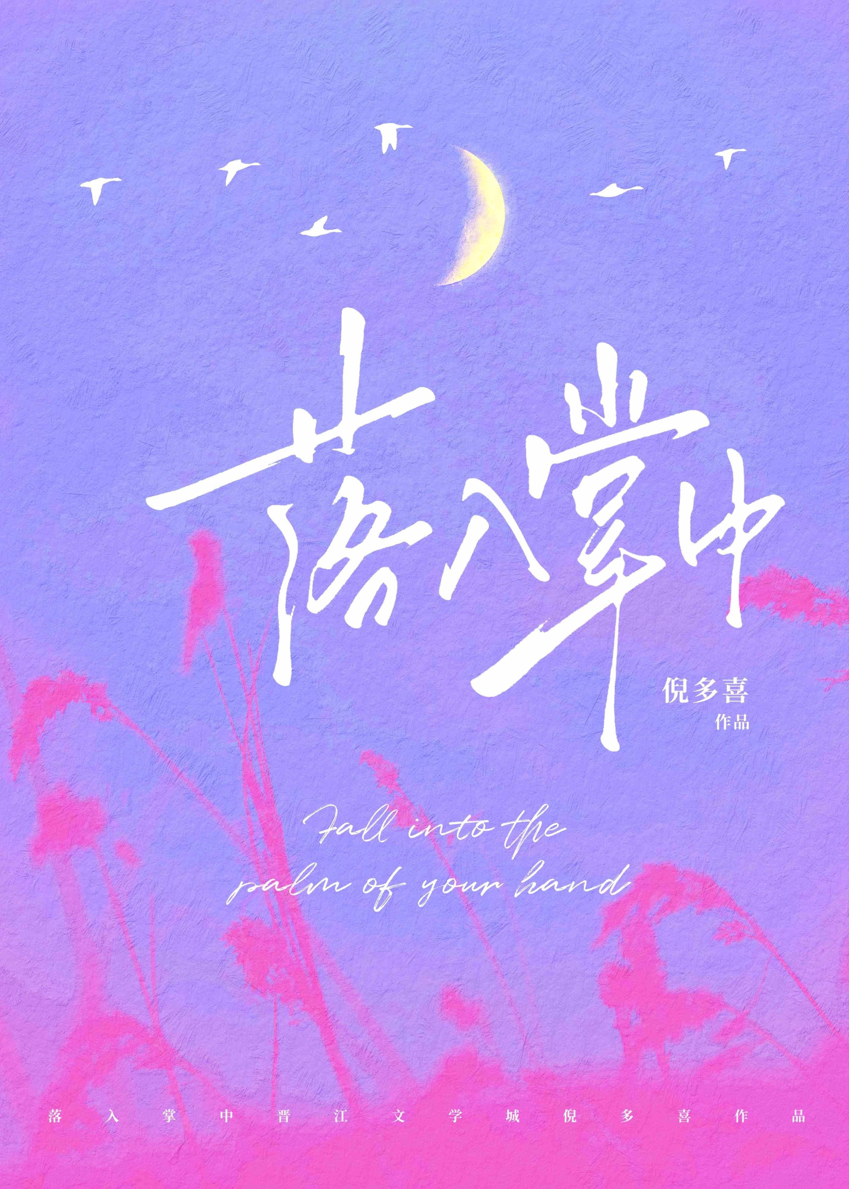 落入掌中作者星旅