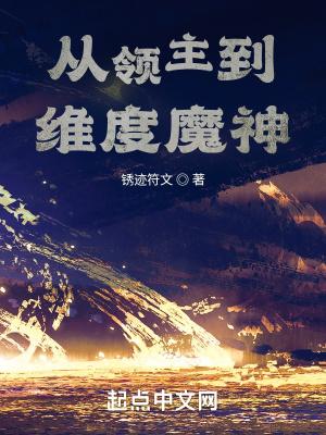 从领主到维度魔神精校版