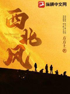 西北风四级