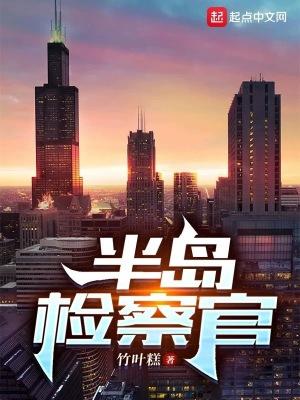 半岛检察官TXT八零电子书