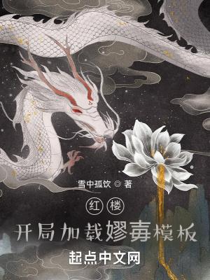红楼开局加载嫪毐模板雪中孤