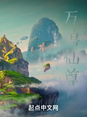 万兽仙尊沈龙道侣有哪些