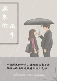 迟来的雨季在线播放