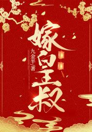 嫁皇叔西朝格格党