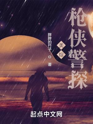 美综枪侠警探好看吗