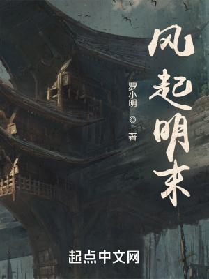 风起明末大结局