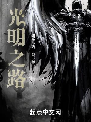 光明之路起点中文网