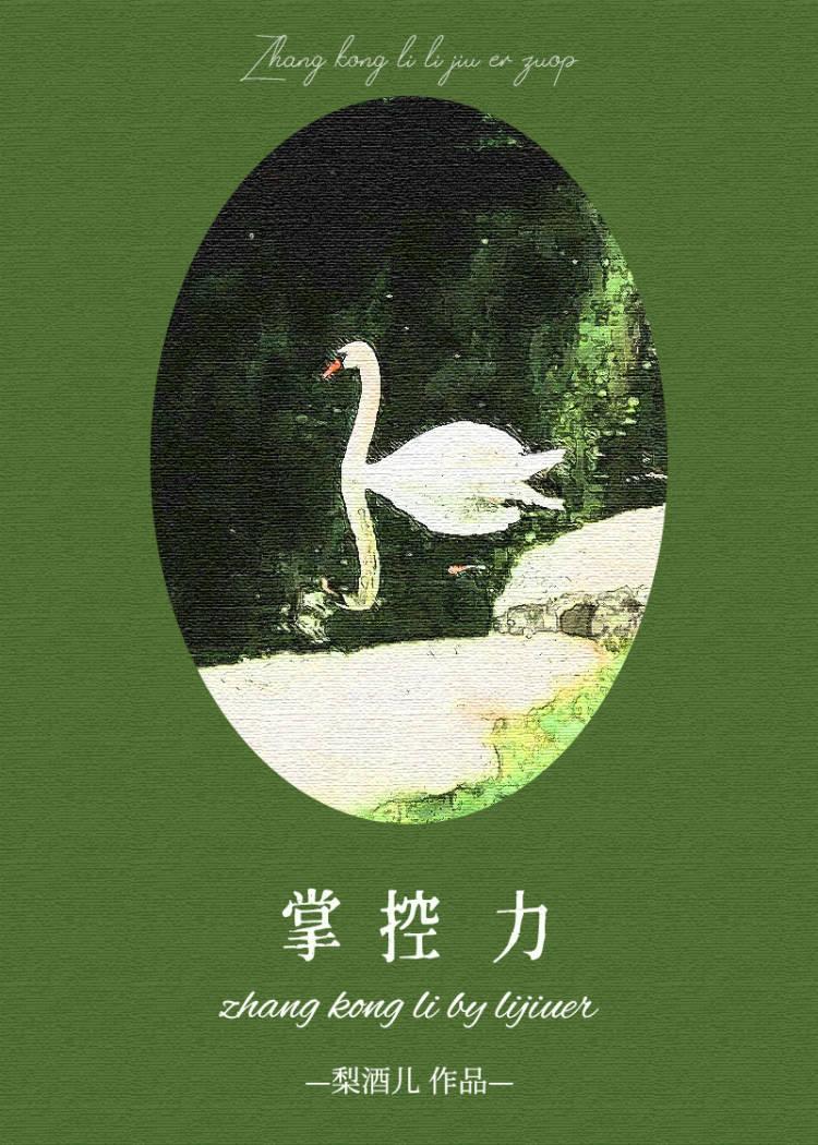 掌控力电视剧免费观看全集高清