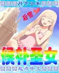 候补圣女漫画停更了吗