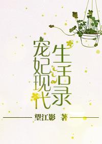 宠妃现代生活录望江影