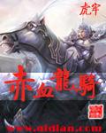 赤血龙骑精校版txt